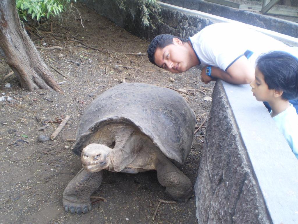 Hostal La Gran Tortuga Puerto Villamil Bagian luar foto